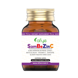 Elderberry, Zinc & Vitamin C - Advanced Immune Support Capsules - TryAladdin