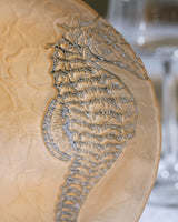 Elegant Glass Pasta Plate - Coastal Marine Inspired Tableware - TryAladdin