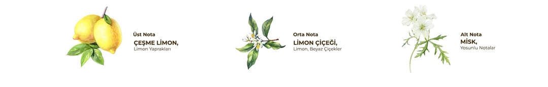 Eyup Sabri Tuncer Professional Cesme Lemon Cologne Spray - 16ml - TryAladdin