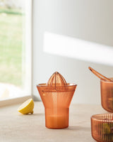 Henric Manual Citrus Juicer - Lemon & Orange Squeezer