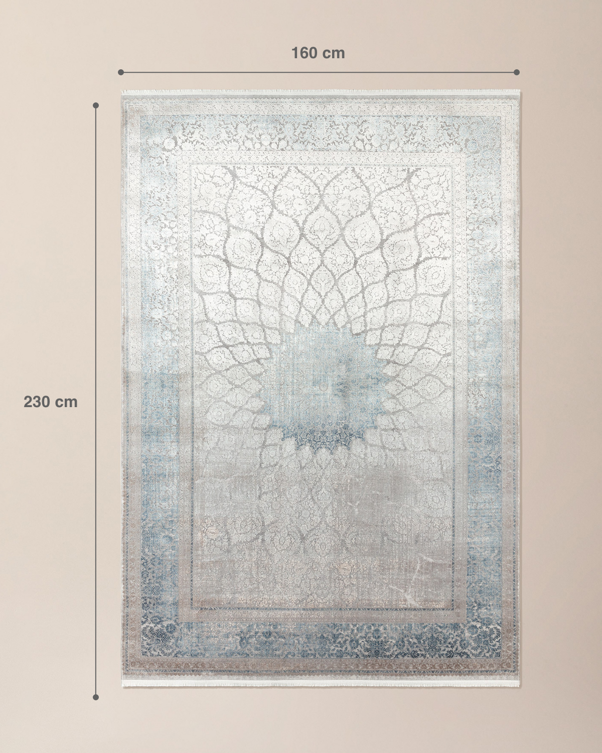 Renier Pattern Modern Area Rug for Living Room
