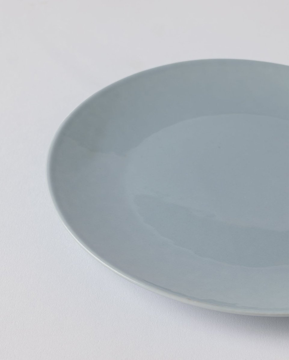 Fine Bone Porcelain Pasta Plate - Modern Vole Style - TryAladdin