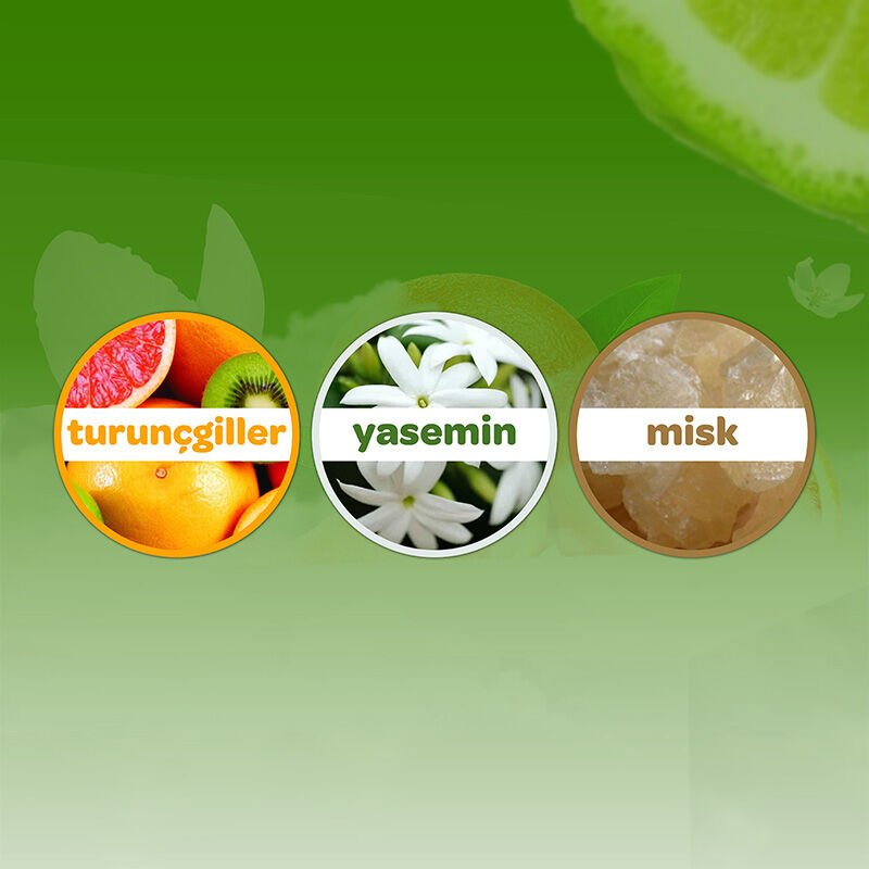 Gentle Cologne - Lasting Freshness & Cleanliness for Sensitive Skin - TryAladdin