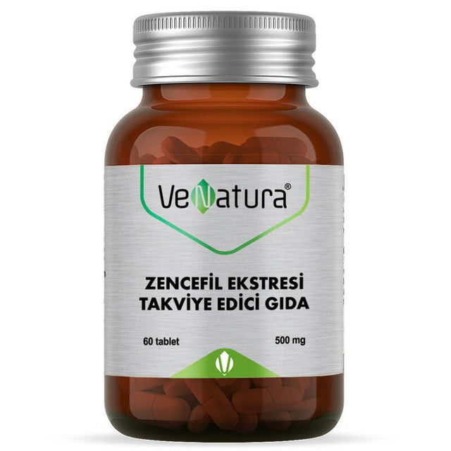 Ginger Extract - Daily Wellness Botanical Support Tablets - TryAladdin