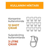 Ginger, Turmeric & Vitamin C - Energizing Immune Support Shot - TryAladdin