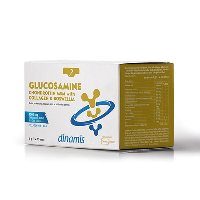 Glucosamine, Collagen, Chondroitin & MSM - Advanced Joint Support Powder - TryAladdin