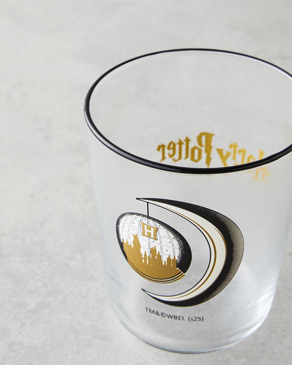 Premium Licensed Harry Potter Collectible Glassware Set
