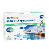 High DHA Omega - 3 Fish Oil - Cognitive & Cardiovascular Support Capsules - TryAladdin