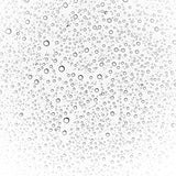 Hydrating & Brightening Face Water with Hyaluronic Acid & Botanicals - TryAladdin