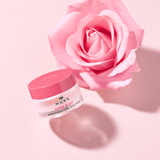 Hydrating & Smoothing Lip Balm - 100% Natural Rose & Shea Butter - TryAladdin
