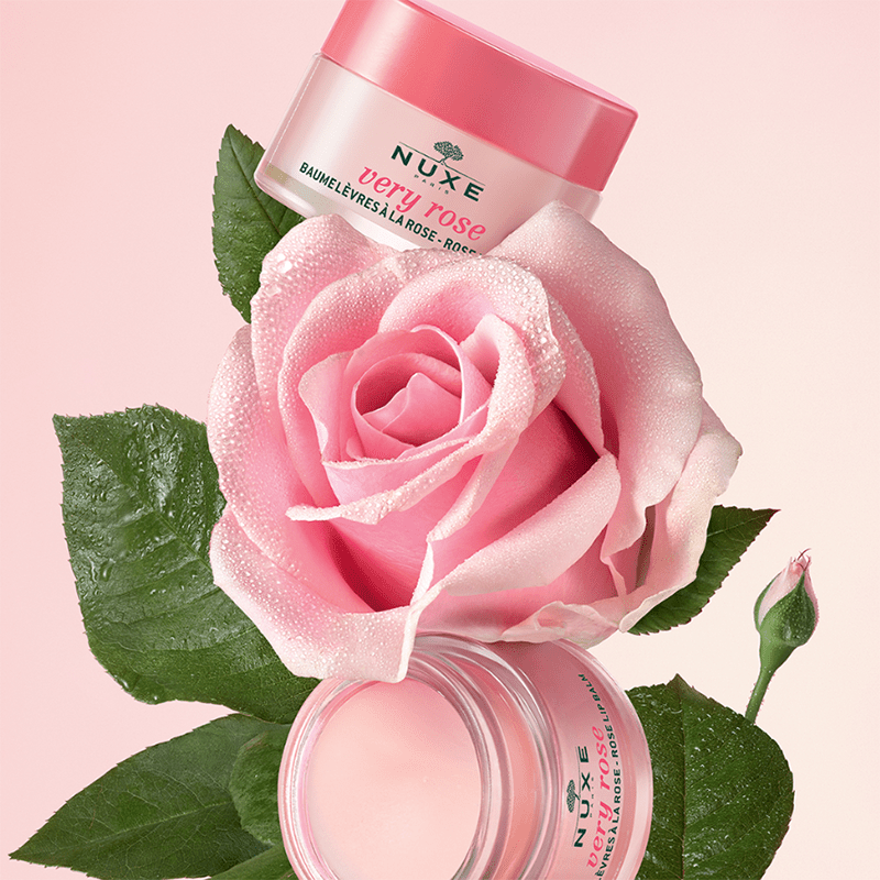 Hydrating & Smoothing Lip Balm - 100% Natural Rose & Shea Butter - TryAladdin