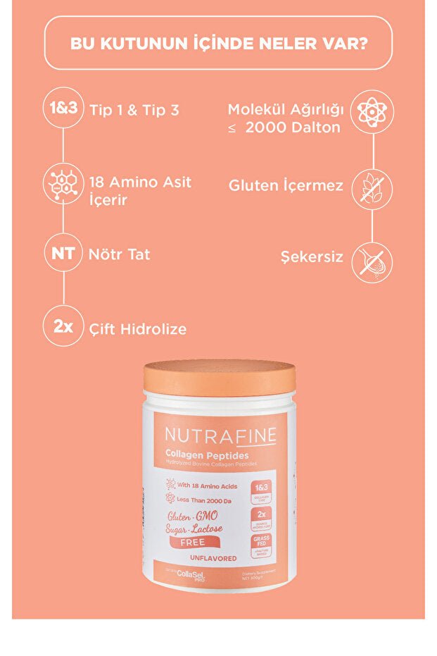 Hydrolyzed Bovine Collagen Peptides - Type 1 & 3, 300g Unflavored - TryAladdin