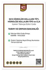 Hydrolyzed Fish Collagen Type 1 & 3 with Hyaluronic Acid, Vitamin C - 90 Tablets - TryAladdin