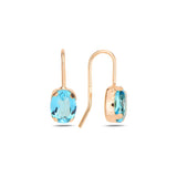 Elegant Hook Earrings - Smoothly Rounded Design
