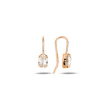 Elegant Hook Earrings - Smoothly Rounded Design