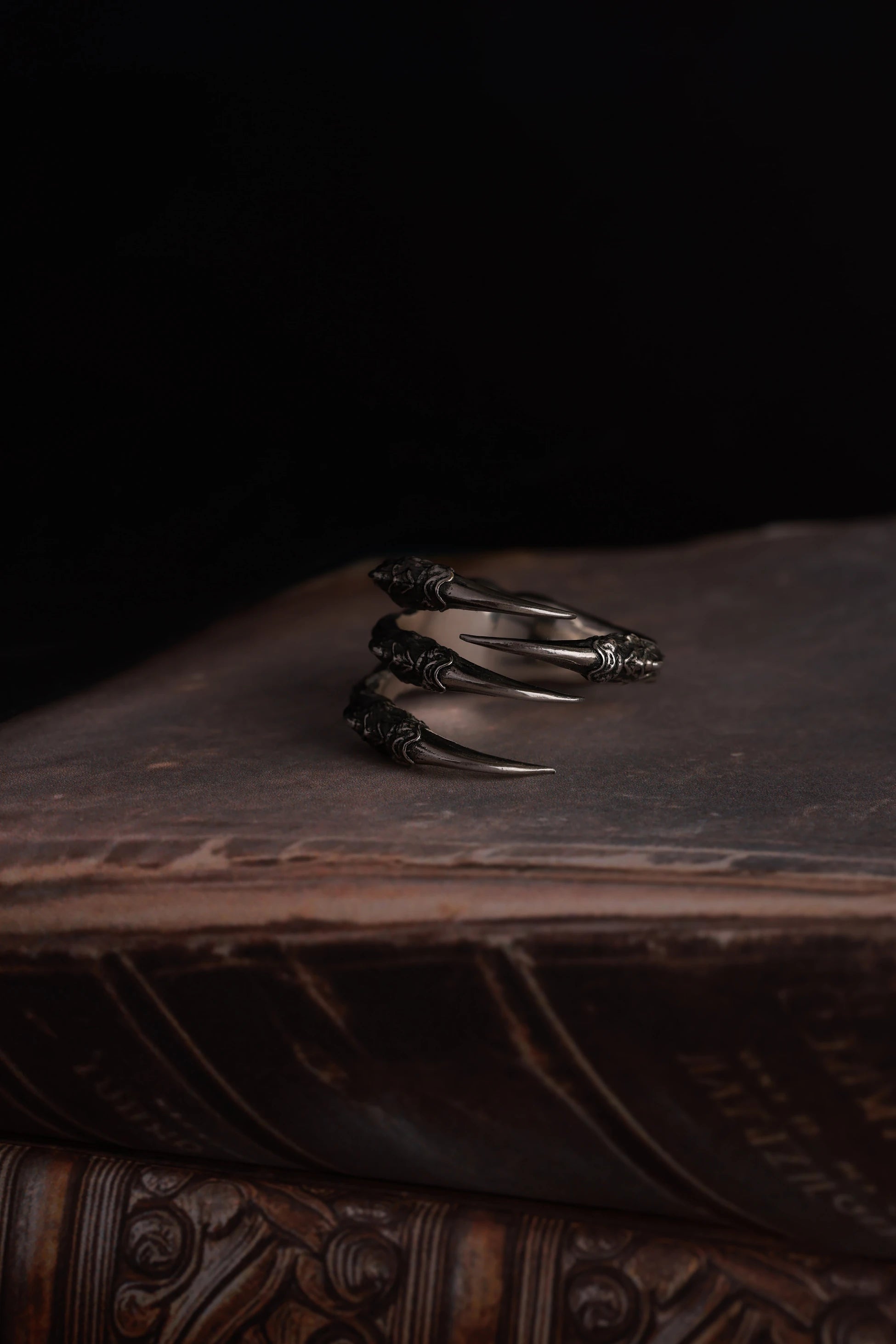 Distinctive Claw Design Fashion Ring