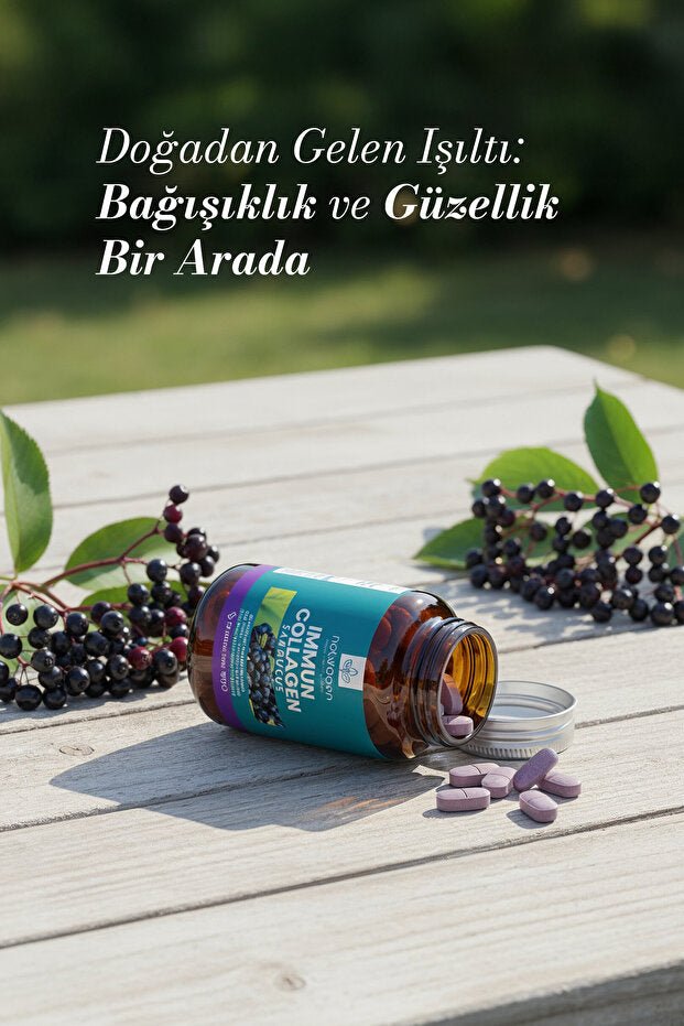 Immun Collagen Sambucus Tablets - 30 Tablets for Immune Support - TryAladdin