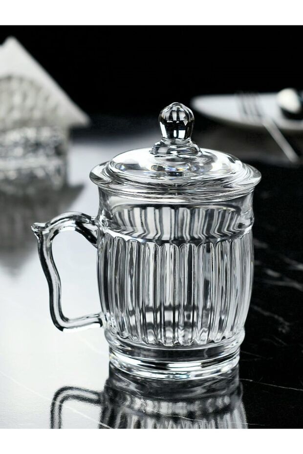 Inova Home Decor Premium Single Serve Glass Herbal Tea Mug with Lid - 385ml - TryAladdin