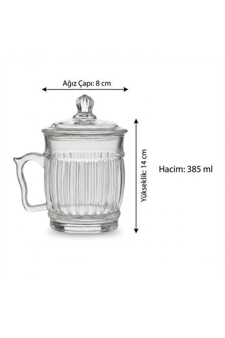 Inova Home Decor Premium Single Serve Glass Herbal Tea Mug with Lid - 385ml - TryAladdin