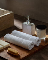 Jacquard 100% Cotton Hand Towel Set - 2 Pack, Soft & Absorbent - TryAladdin