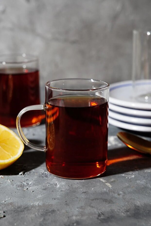 Kitchen Way Professional Luxury Thin Heat - Resistant Borosilicate Glass Mugs - Set of 6 - TryAladdin