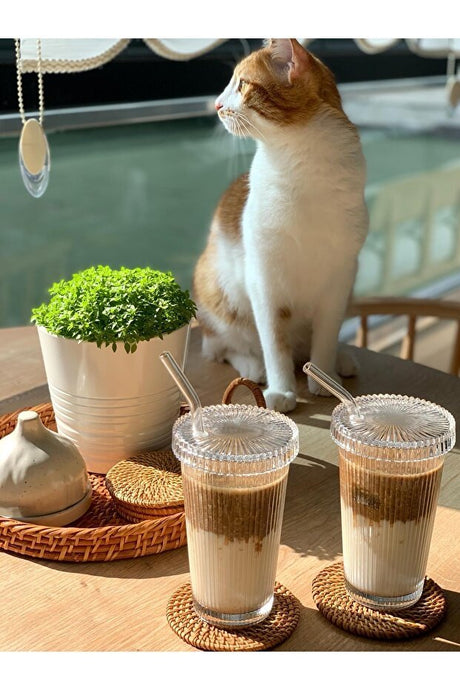 Kucuk Ew Professional Origami Style Glass Tumbler Set - 2 x 400ml - TryAladdin