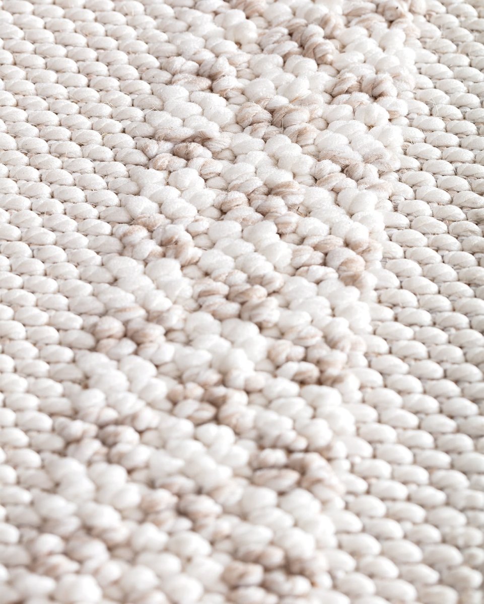 Larose Floral Pattern Area Rug - Soft & Durable Living Room Carpet - TryAladdin