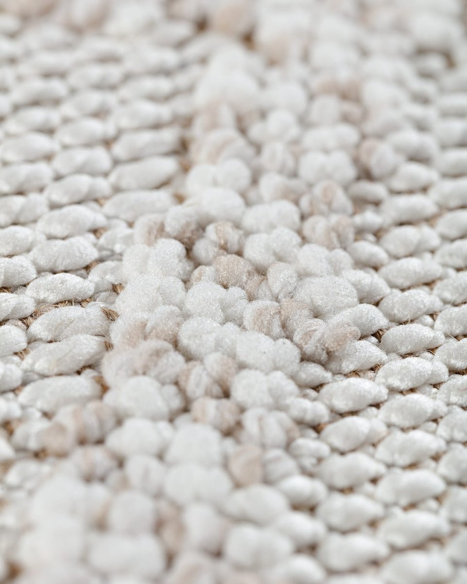 Larose Floral Pattern Area Rug - Soft & Durable Living Room Carpet - TryAladdin