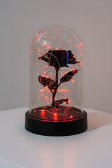 LED Lighted Black Eternity Rose in Glass Dome - Romantic Gift - TryAladdin
