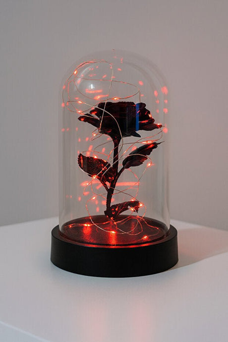 LED Lighted Black Eternity Rose in Glass Dome - Romantic Gift - TryAladdin