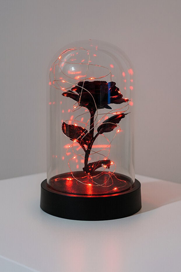 LED Lighted Black Eternity Rose in Glass Dome - Romantic Gift - TryAladdin
