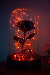 LED Lighted Black Eternity Rose in Glass Dome - Romantic Gift - TryAladdin