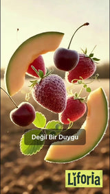 Liforia Premium Whole Freeze - Dried Tart Cherries - 20g - TryAladdin