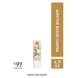 Lip Balm - Nourishing & Hydrating with Shea Butter for Shine - TryAladdin