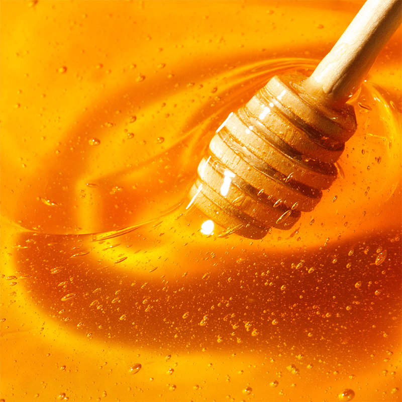 Lip Moisturizer Stick - Hydrating & Protecting with Honey & Sunflower - TryAladdin