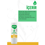 Lip Protector - Natural Honey, Shea & Olive Oil for Hydration - TryAladdin
