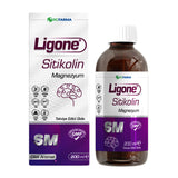 Magnesium Citrate & Citicoline Liquid Supplement - General Wellness - TryAladdin