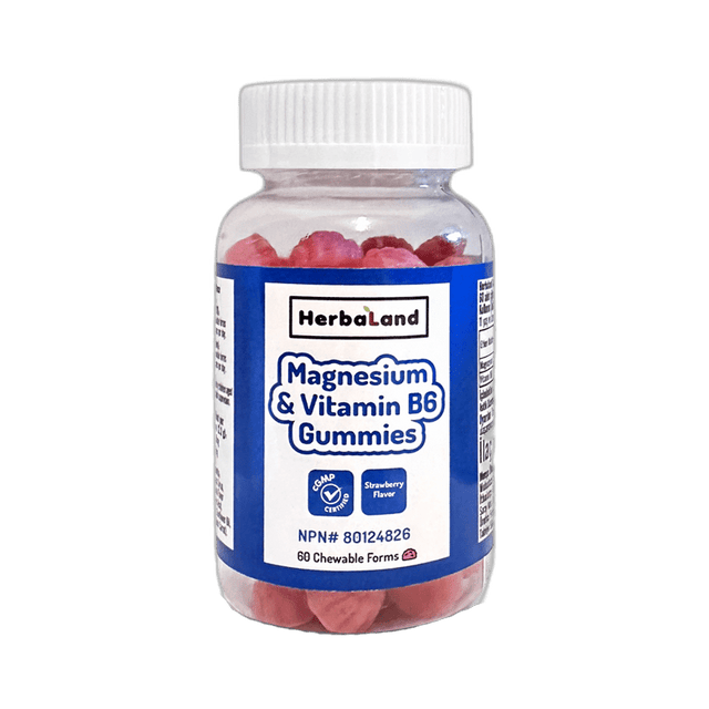 Magnesium & Vitamin B6 Gummies - Daily Nutritional Support for All Ages - TryAladdin