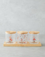Professional Grade 4 Piece Clear Glass Spice Jar Set