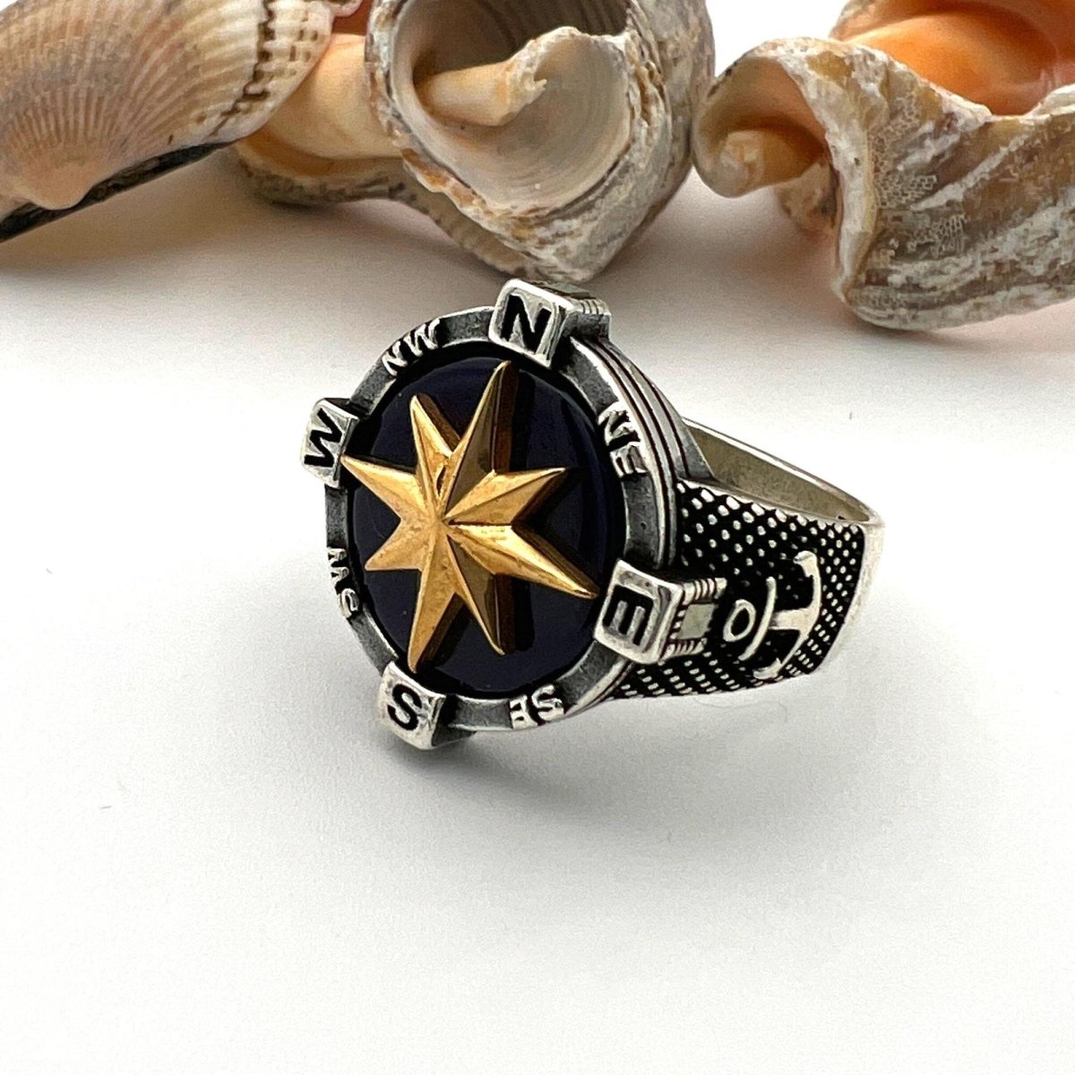 Men's Silver Agate Stone Compass Ring