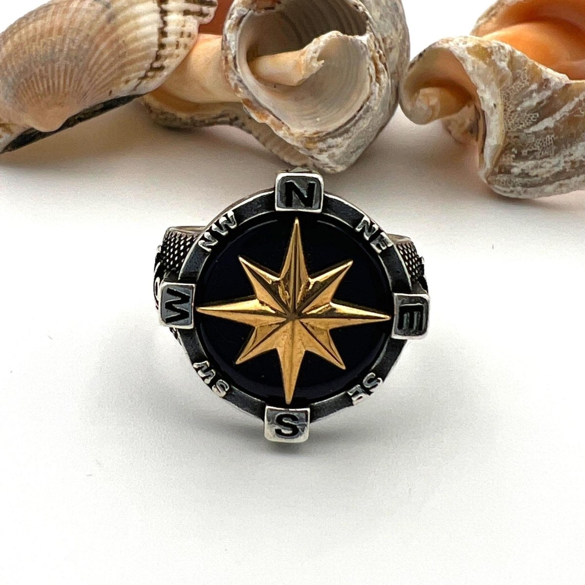 Men's Silver Agate Stone Compass Ring