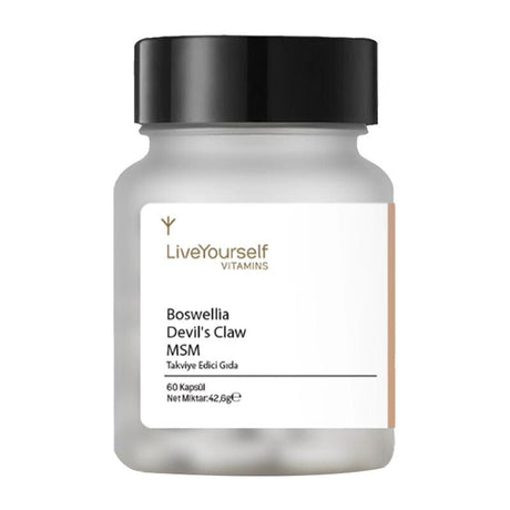 MSM, Boswellia & Devil's Claw - Advanced Wellness Support Capsules - TryAladdin