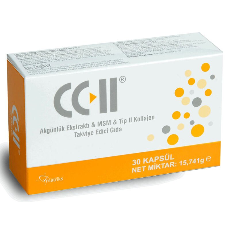 MSM, Boswellia & Type 2 Collagen - Joint & Connective Tissue Support Capsules - TryAladdin