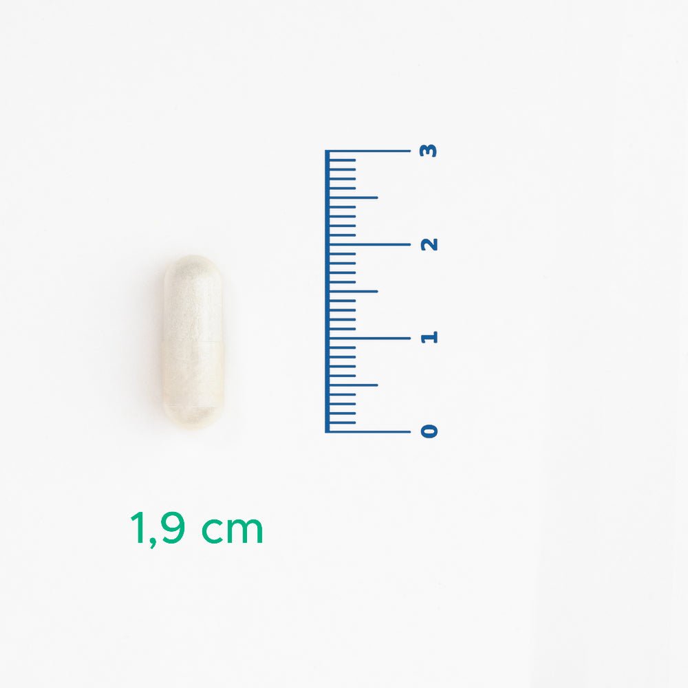 Nattokinase from Fermented Soybean Extract - Vegan Support Capsules - TryAladdin