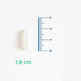 Nattokinase from Fermented Soybean Extract - Vegan Support Capsules - TryAladdin