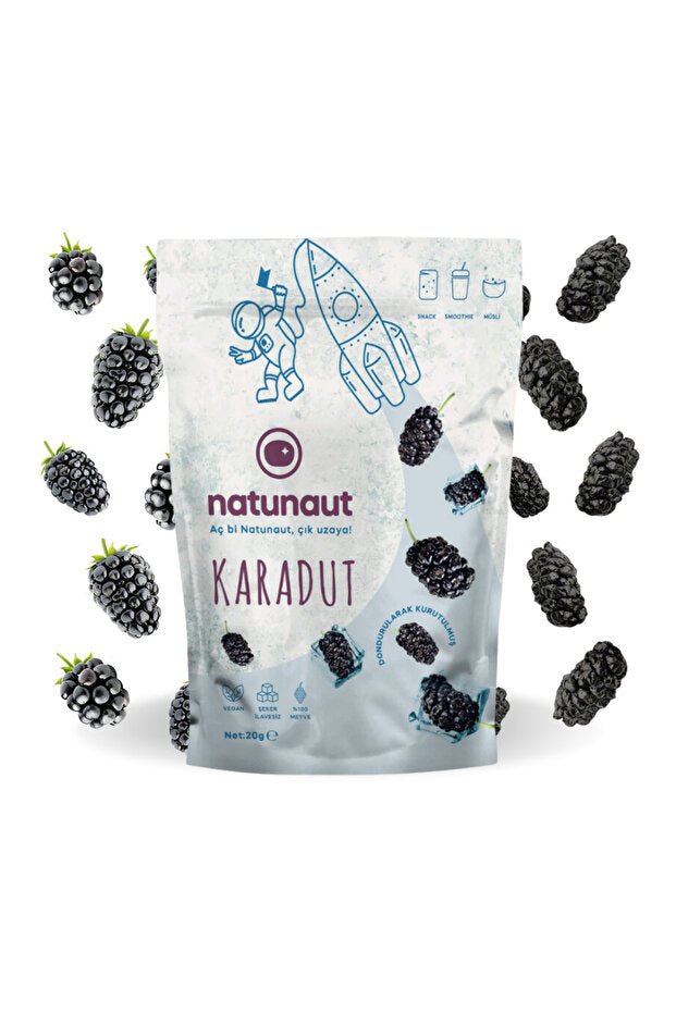 Natunaut Professional Freeze - Dried Black Mulberry Fruit Chips - TryAladdin
