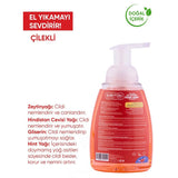 Natural Foaming Hand Soap - Gentle Cleansing & Moisturizing Care - TryAladdin