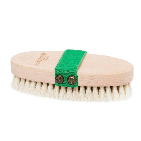 Natural Horsehair Dry Body Brush for Exfoliation & Massage - Green - TryAladdin