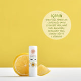 Natural Lip Nourisher - Hydrating & Protecting with Shea Butter & Beeswax - TryAladdin
