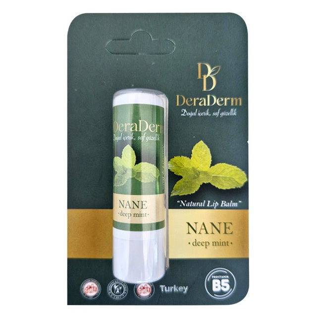 Natural Mint Lip Balm - Hydrating & Protective with Shea Butter & Provitamin B5 - TryAladdin